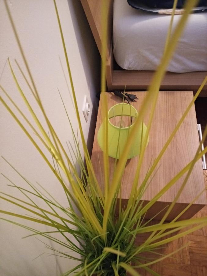 Apartment San Izola - Near The Beach Eksteriør billede