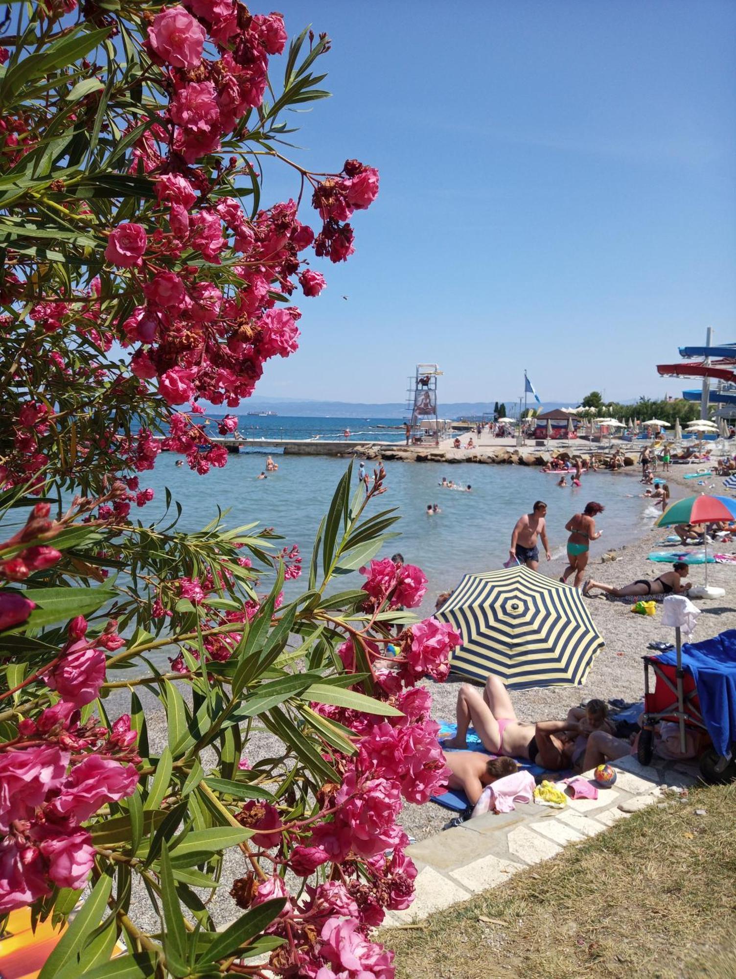 Apartment San Izola - Near The Beach Eksteriør billede